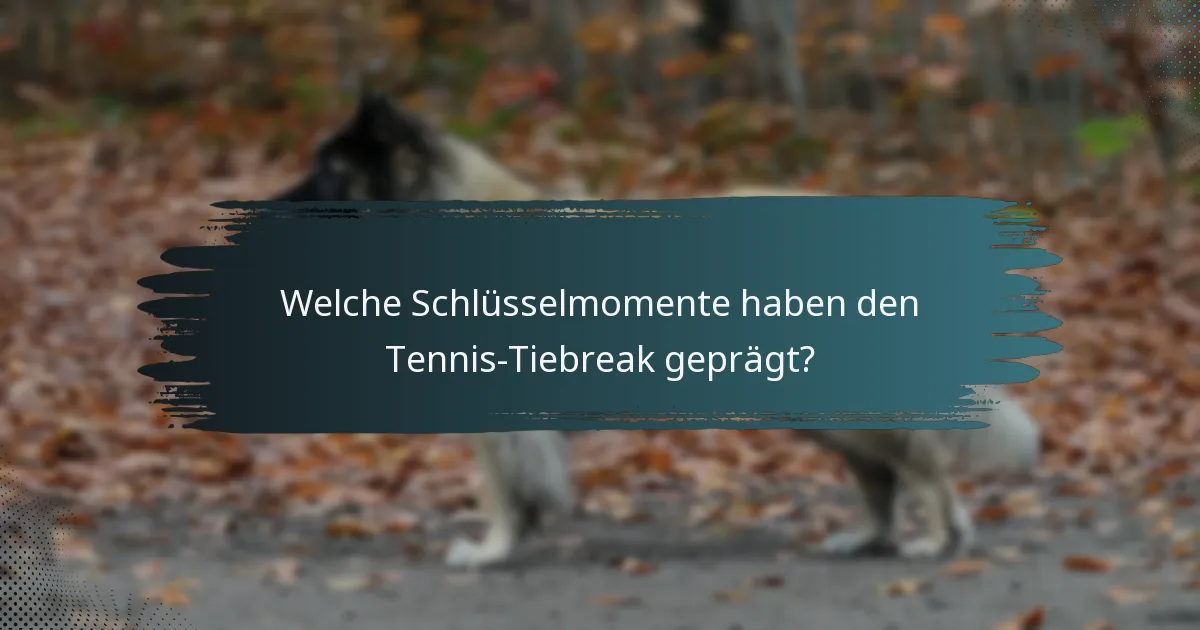 Welche Schlüsselmomente haben den Tennis-Tiebreak geprägt?