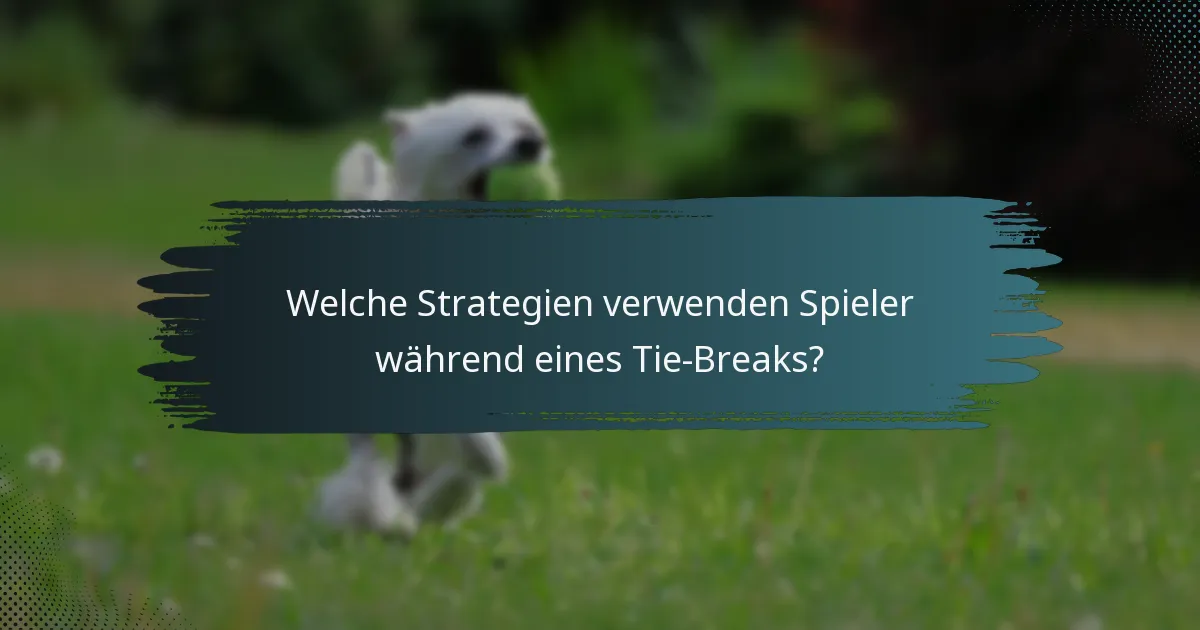 Welche Strategien verwenden Spieler während eines Tie-Breaks?