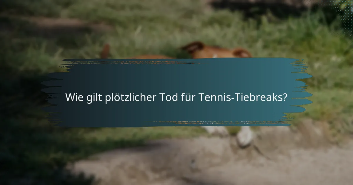 Wie gilt plötzlicher Tod für Tennis-Tiebreaks?