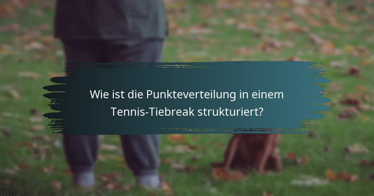 Wie ist die Punkteverteilung in einem Tennis-Tiebreak strukturiert?