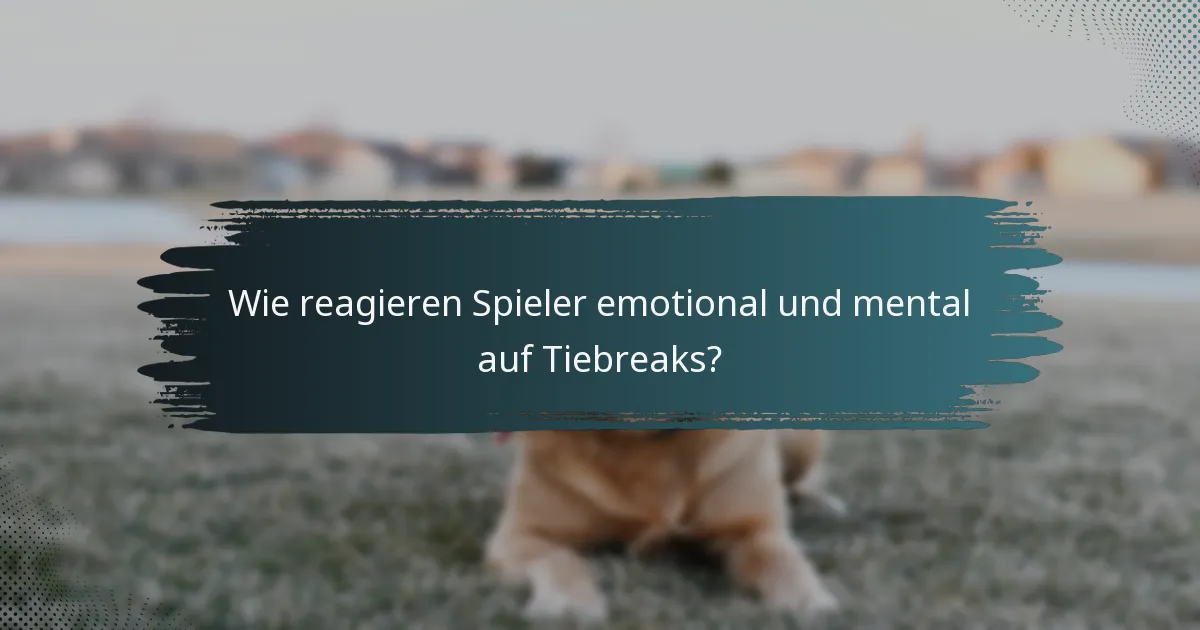 Wie reagieren Spieler emotional und mental auf Tiebreaks?